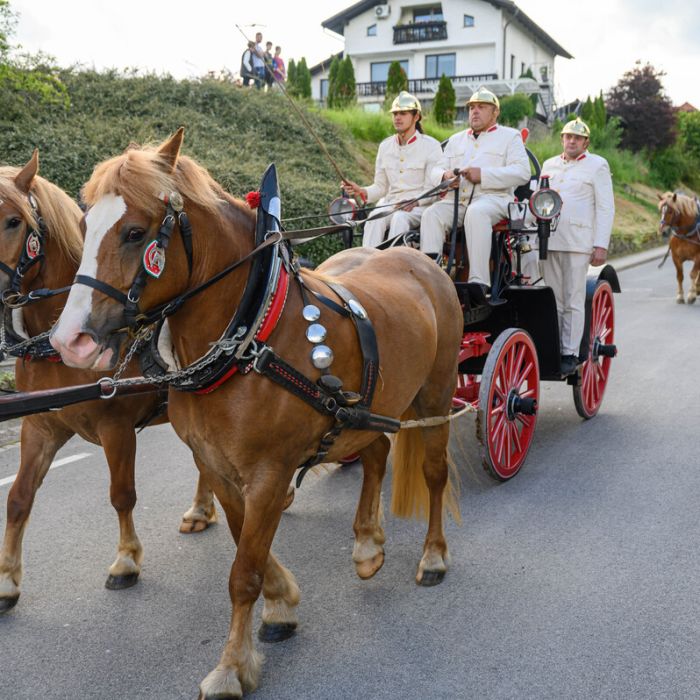140. obletnica delovanja Gasilskega društva Šentvid pri Stični